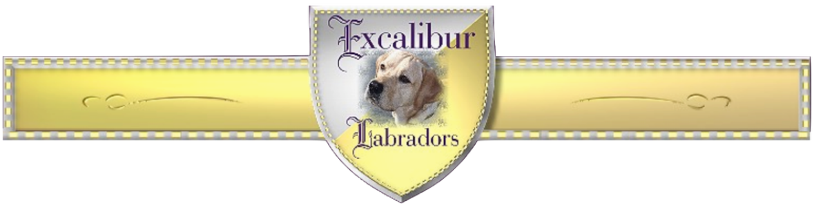 excaliburlabradors.com Logo